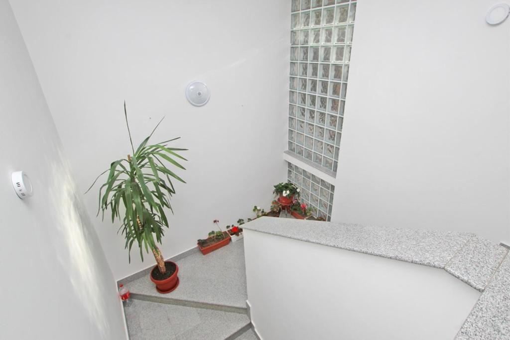 Imas Apartment Sarajevo Luaran gambar