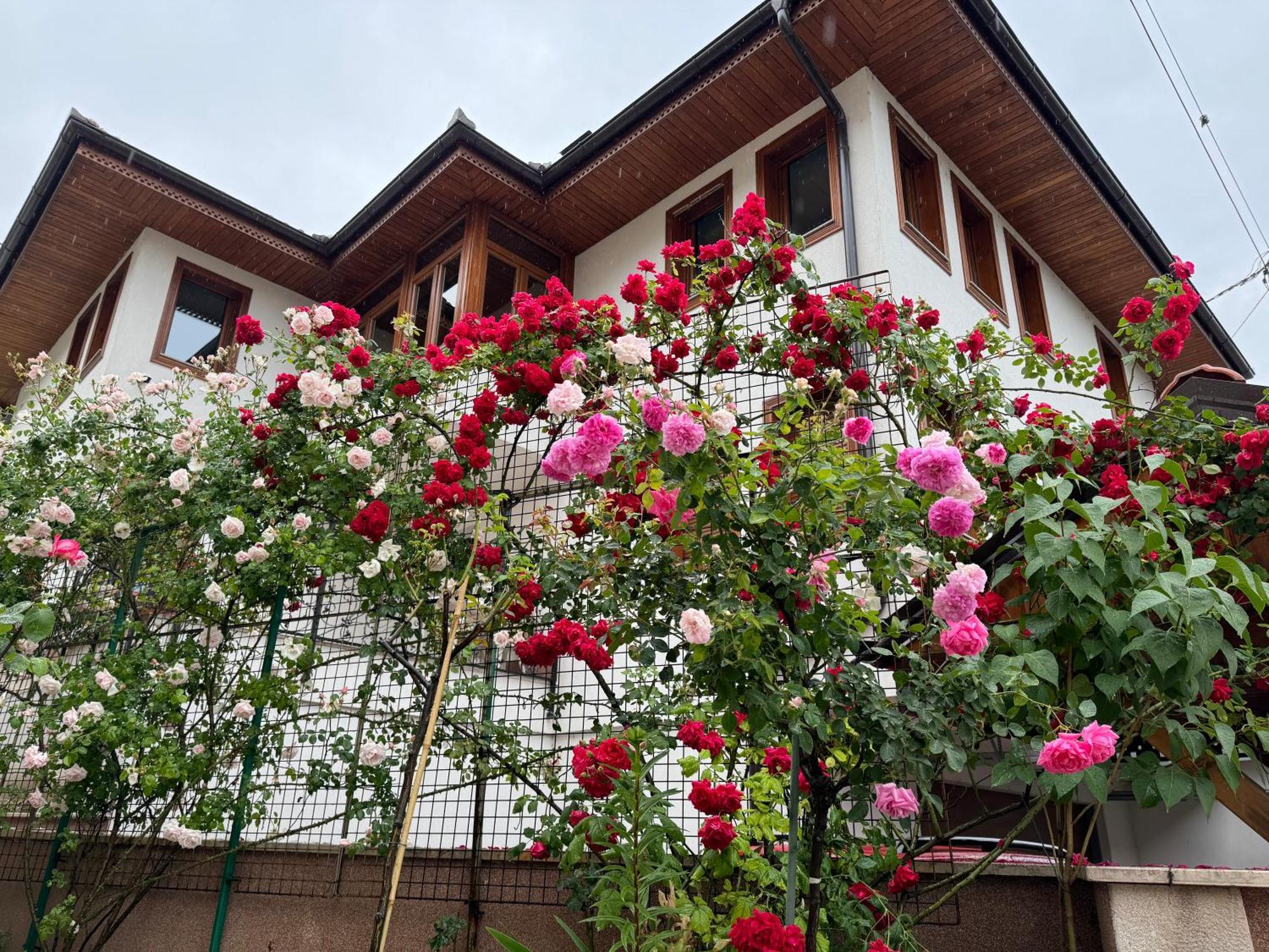 Imas Apartment Sarajevo Luaran gambar